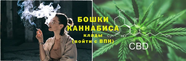 сатива Киреевск