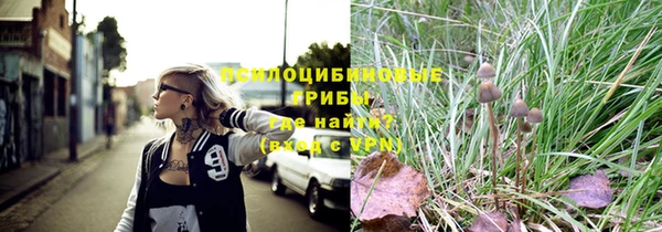 сатива Киреевск