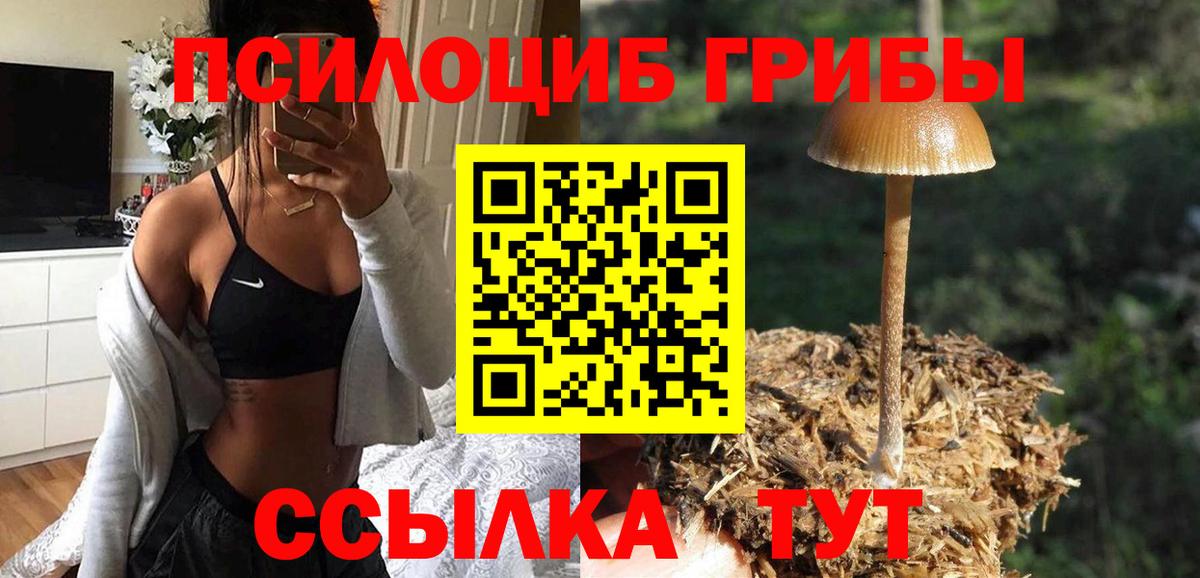 Псилоцибиновые грибы Magic Shrooms  Вход с VPN  Северск 