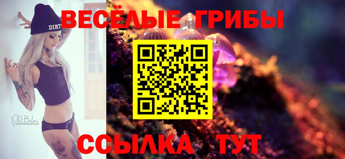 Северск  Галлюциногенные грибы GOLDEN TEACHER  Вход с VPN 